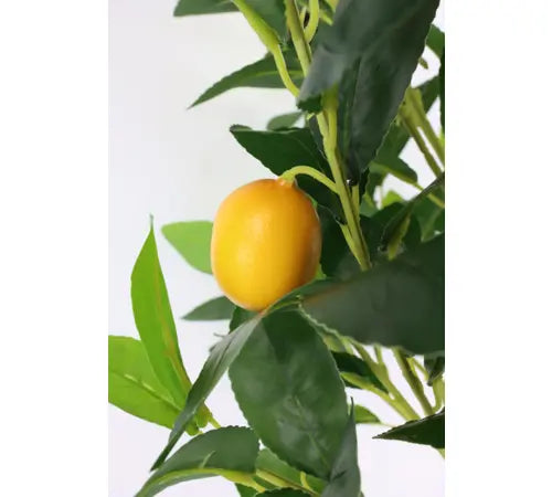 PIANTA DI LIMONE ARIFICIALE SIMILE AL VERO CON LIMI SU PIANTA Misura: 56x47x76cm