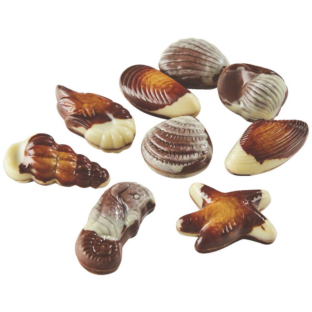 Dolci pensieri gift CIOCCOLATO FORMA FRUTTI DI MARE PRALINATO VARIEGATO CON 44 % DI NOCCIOLE