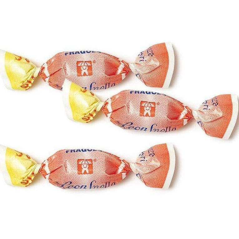 Leone Caramelle Leonsnella Gusto FRAGOLA Caramelle SENZA ZUCCHERO Confezione 100 gr - Dolci pensieri gift