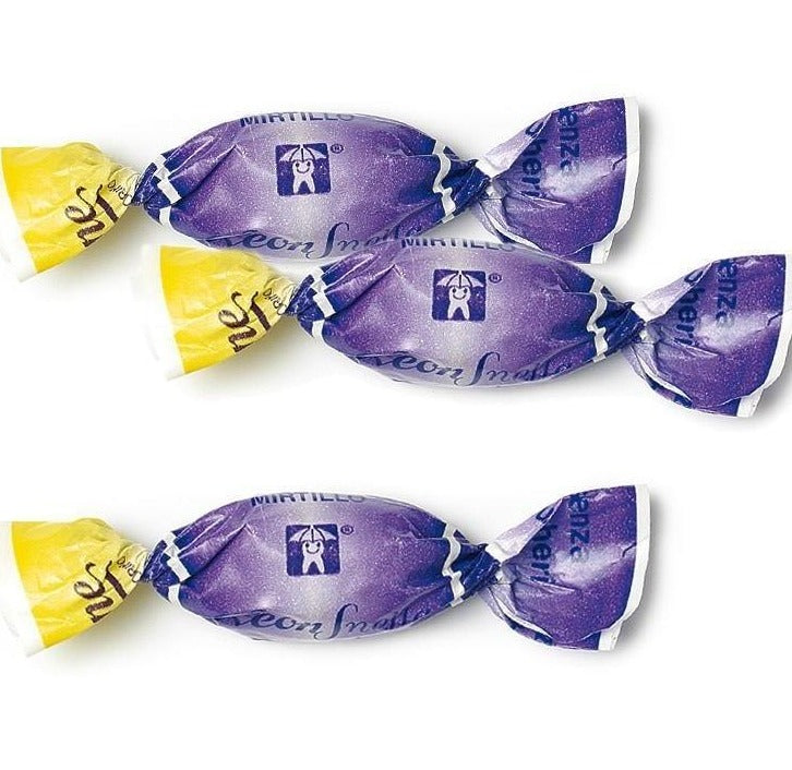 Leone Caramelle Leonsnella Gusto MIRTILLO Caramelle SENZA ZUCCHERO Confezione 100 gr - Dolci pensieri gift