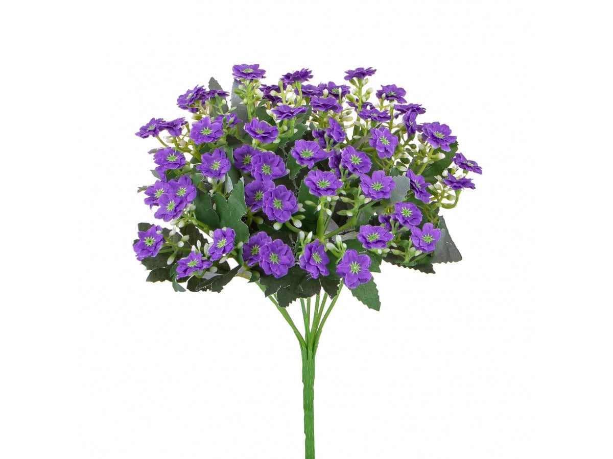 MINI CALANCOE 30 CM LILLA - Dolci pensieri gift