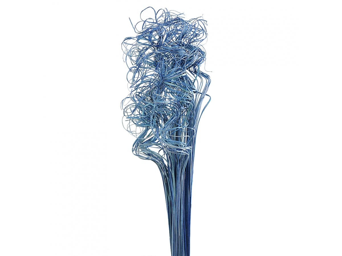 FIORI TING TING CURLY COLORATO 70 cm BLUE - Dolci pensieri gift