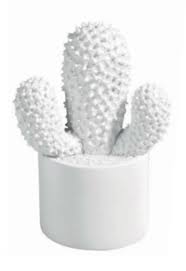 Cactus Messico in ceramica 15 cm bianco arredo casa - Dolci pensieri gift