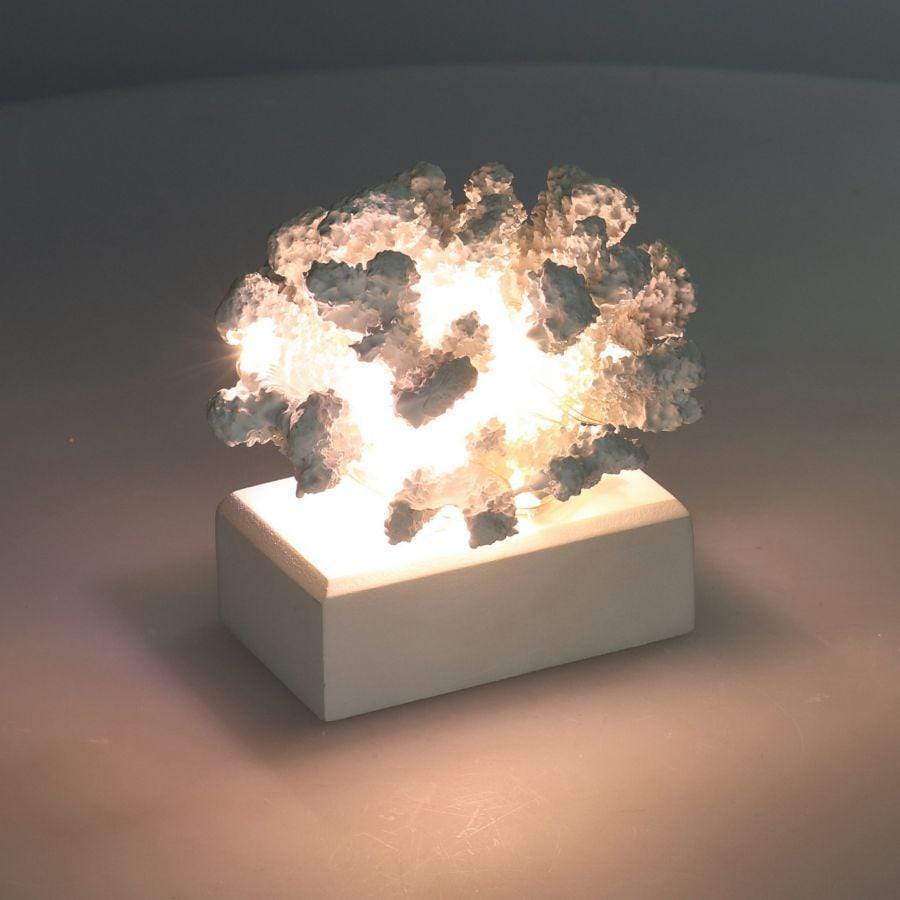 Capri corallo decorativo con led bianco arramento casa centrotavola - Dolci pensieri gift