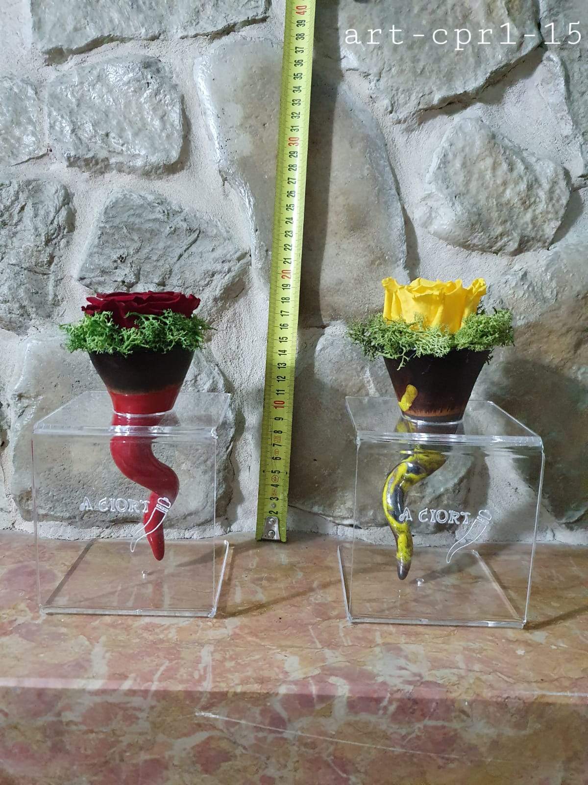 Corno Napoletano portafortuna in Ceramica Artigianale portapiante colorate comprese - Dolci pensieri gift