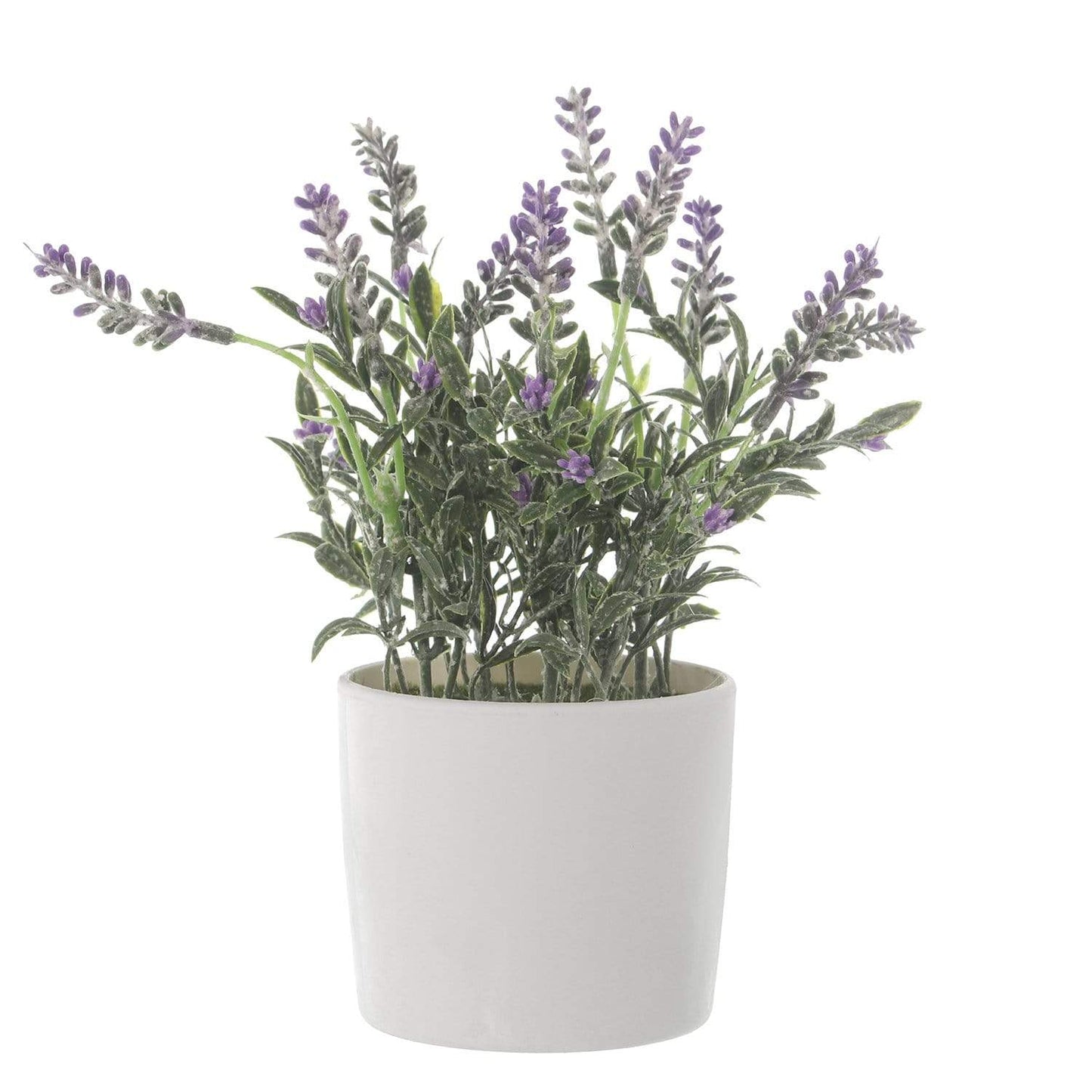 Piantina artificiale lavanda con vaso in melamina bianca 20 cm - Dolci pensieri gift