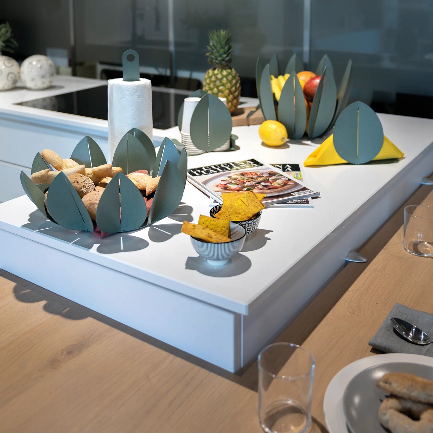 AGRUMIERA FICUS FERRO BEIGE