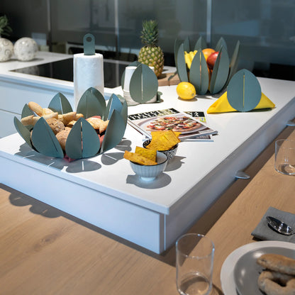 AGRUMIERA FICUS FERRO BEIGE