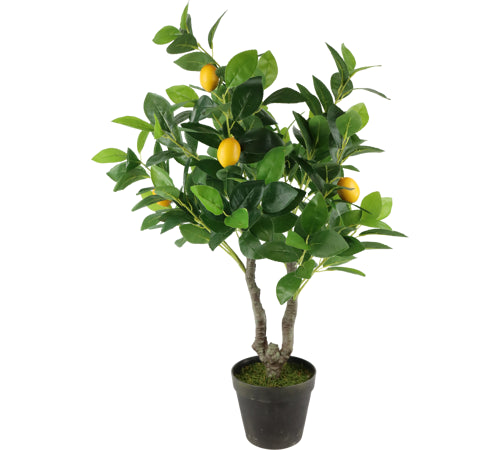 PIANTA DI LIMONE ARIFICIALE SIMILE AL VERO CON LIMI SU PIANTA Misura: 56x47x76cm