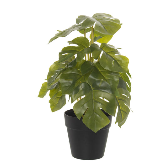 PIANTA ARTIFICIALE COSTOLA DI ADAMO 30 CM  VASO IN PLASTICA