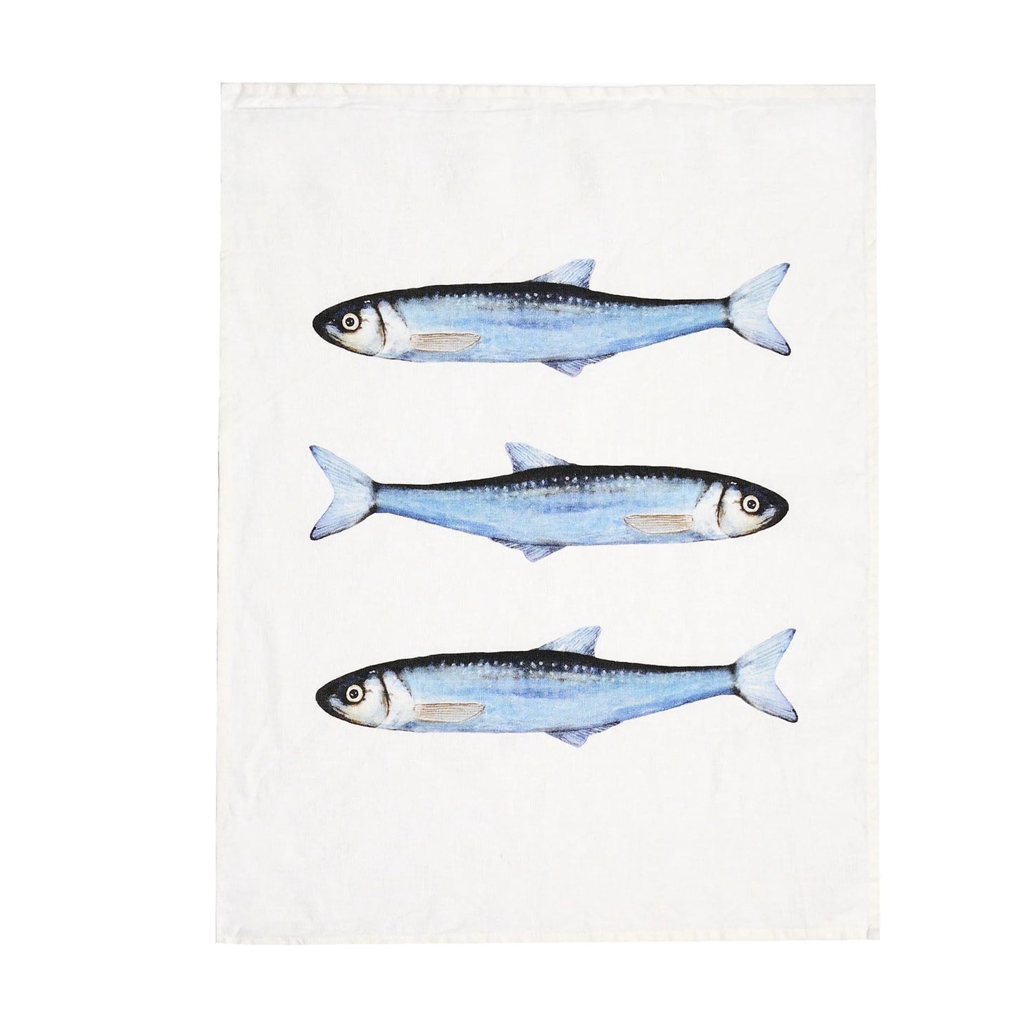 CANOVACCIO SARDINE 100% LINO