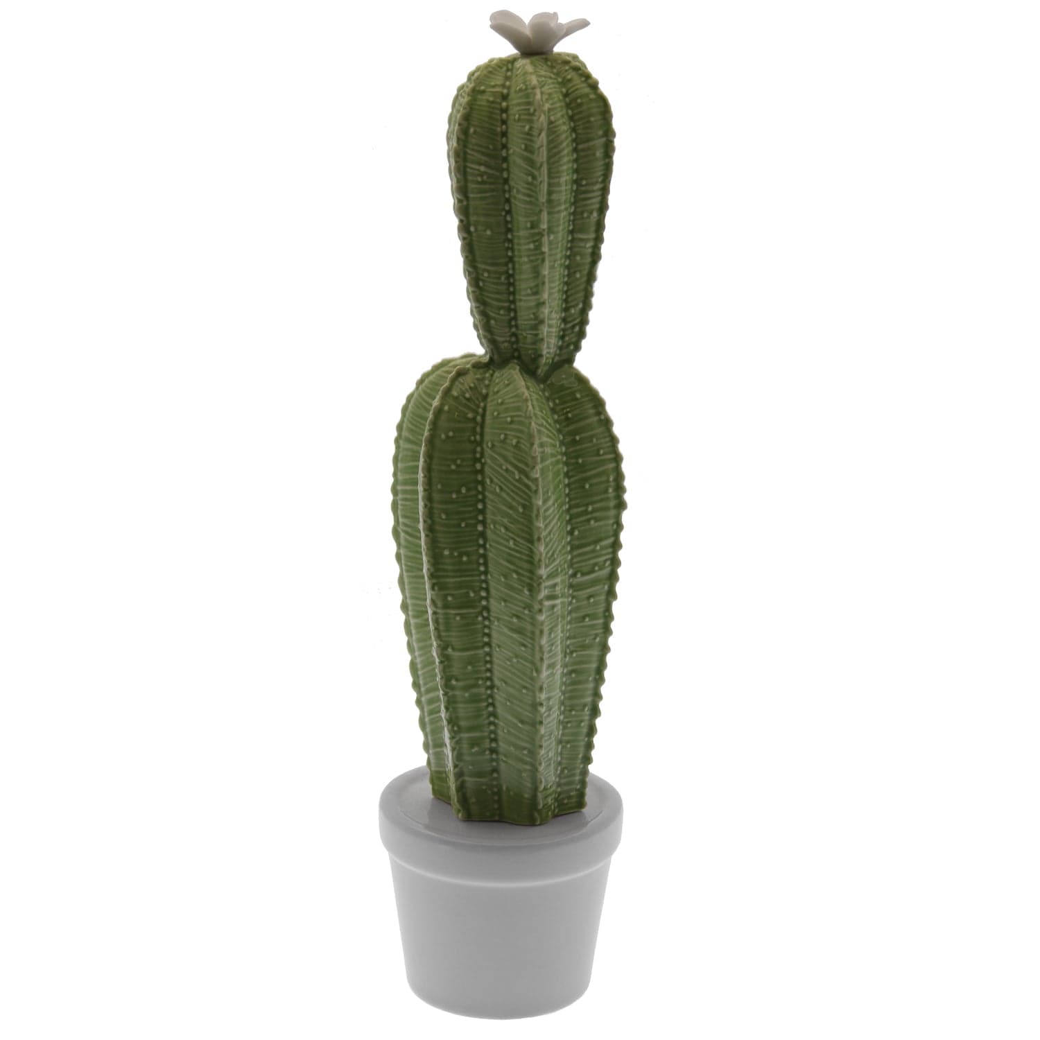 Dolci pensieri gift STATUETTA CERAMICA CACTUS DECORAZIONE  CASA H 35 DIAMETRO 9