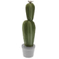 Dolci pensieri gift STATUETTA CERAMICA CACTUS DECORAZIONE  CASA H 35 DIAMETRO 9