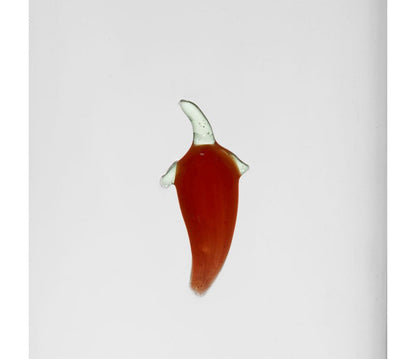 set olio aceto vetro borosilicato dettaglio peperoncino 45cl+35cl
