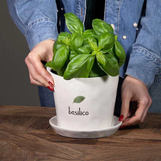 VASO IN GRES PORCELLANATO "BASILICO" CON SOTTOVASO Dimensioni diametro 15cm x altezza 12,5cm