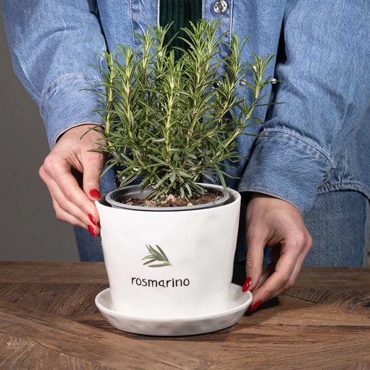 VASO CON SOTTOVASO IN GRES PORCELLANATO BIANCO "ROSMARINO" Dimensioni diametro 15cm x altezza 12,5cm