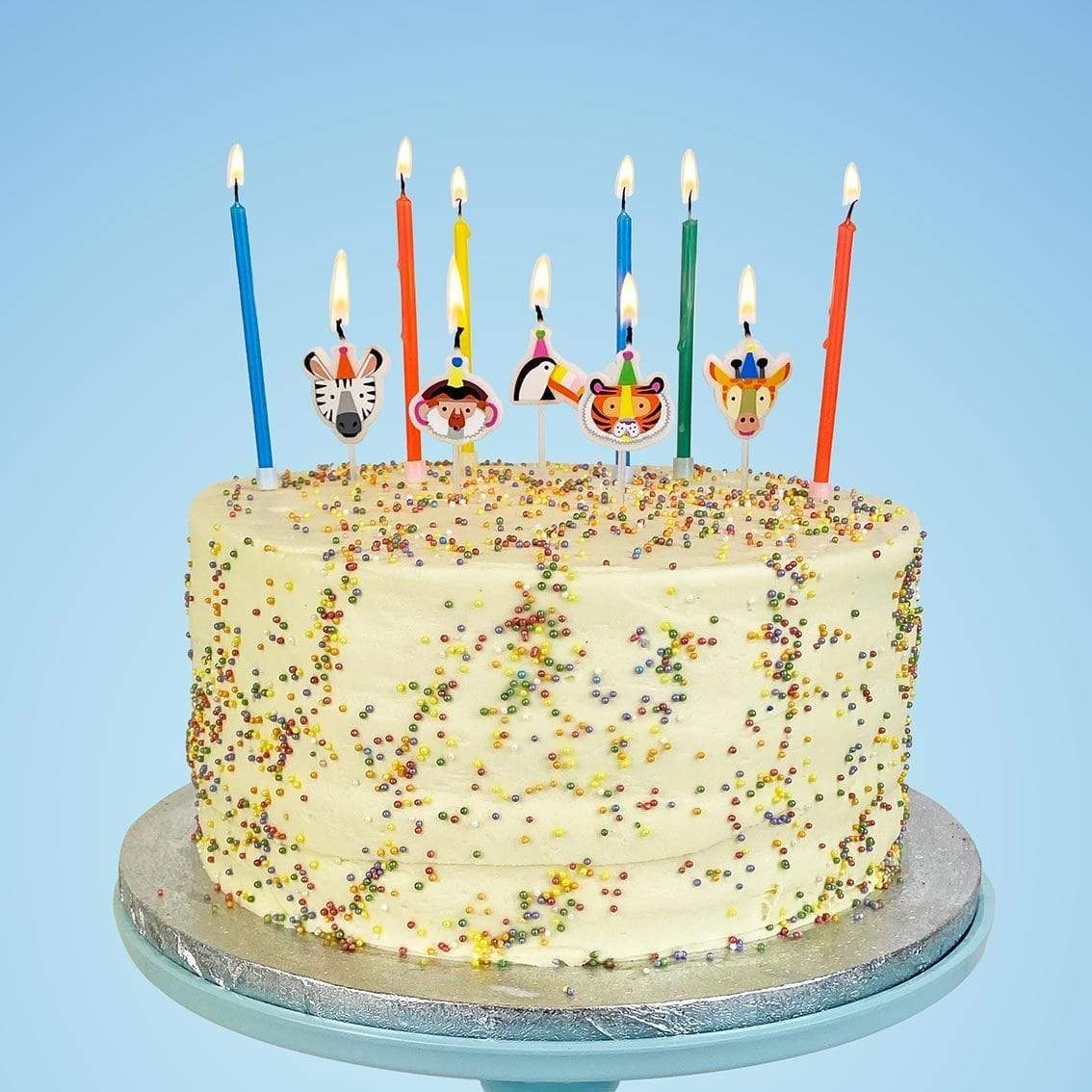 Candele animali da festa compleanno in cera 5 pezzi - Dolci pensieri gift
