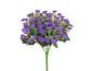 MINI CALANCOE 30 CM LILLA - Dolci pensieri gift