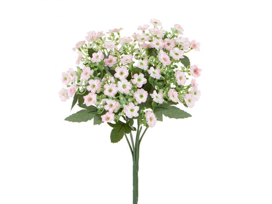 MINI CALANCOE 30 CM ROSA - Dolci pensieri gift