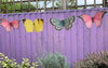 Bandierine a forma di farfalla multicolor festoni in carta 3 metri - Dolci pensieri gift