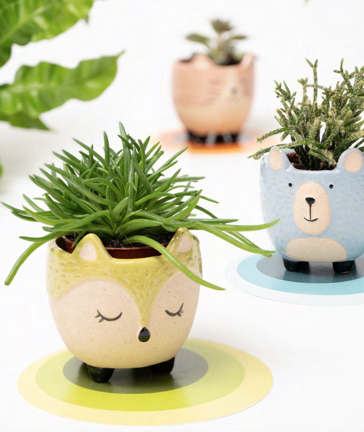 Dolci pensieri gift PORTAPIANTINA "BEST FRIENDS" AD REGALI