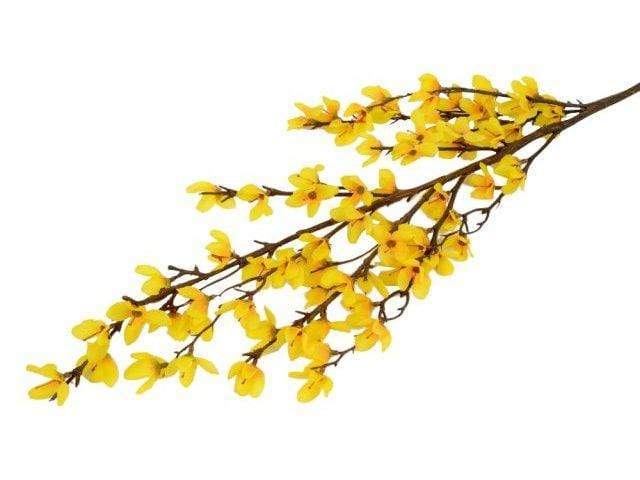 Ramo di Forsythia Artificiale ramo fiorito 116 cm Colore Giallo - Dolci pensieri gift