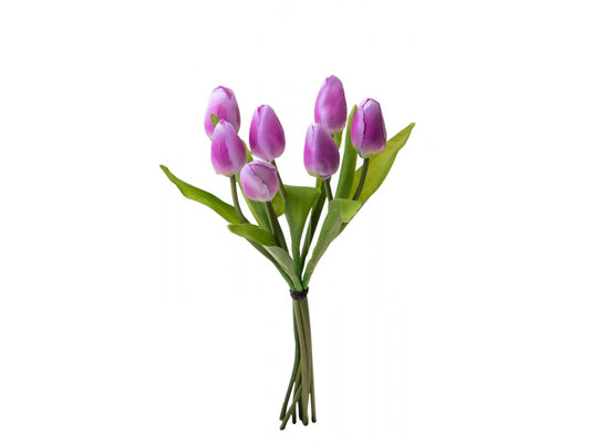 Dolci pensieri gift TULIPANO MAZZO 7 Pz 37 cm