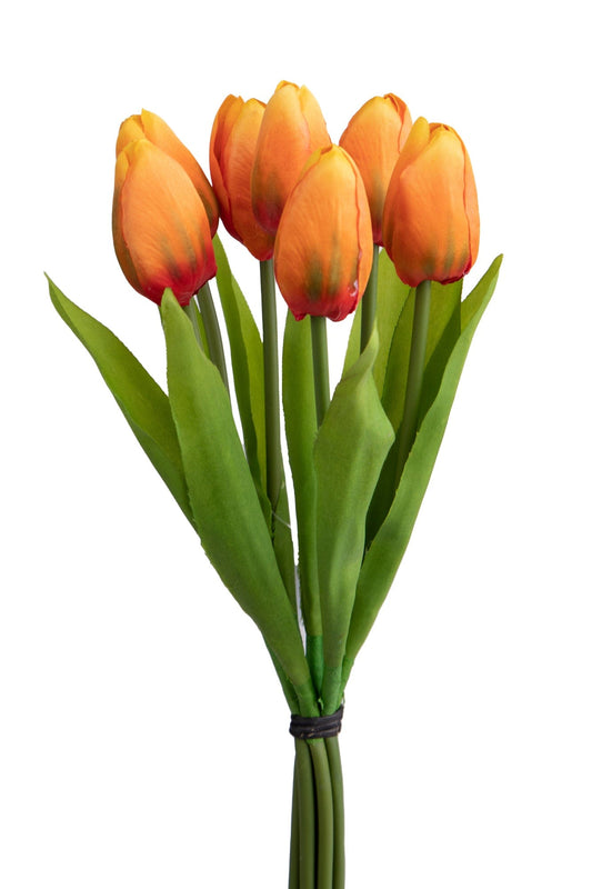 Dolci pensieri gift TULIPANO MAZZO 7 Pz 37 cm