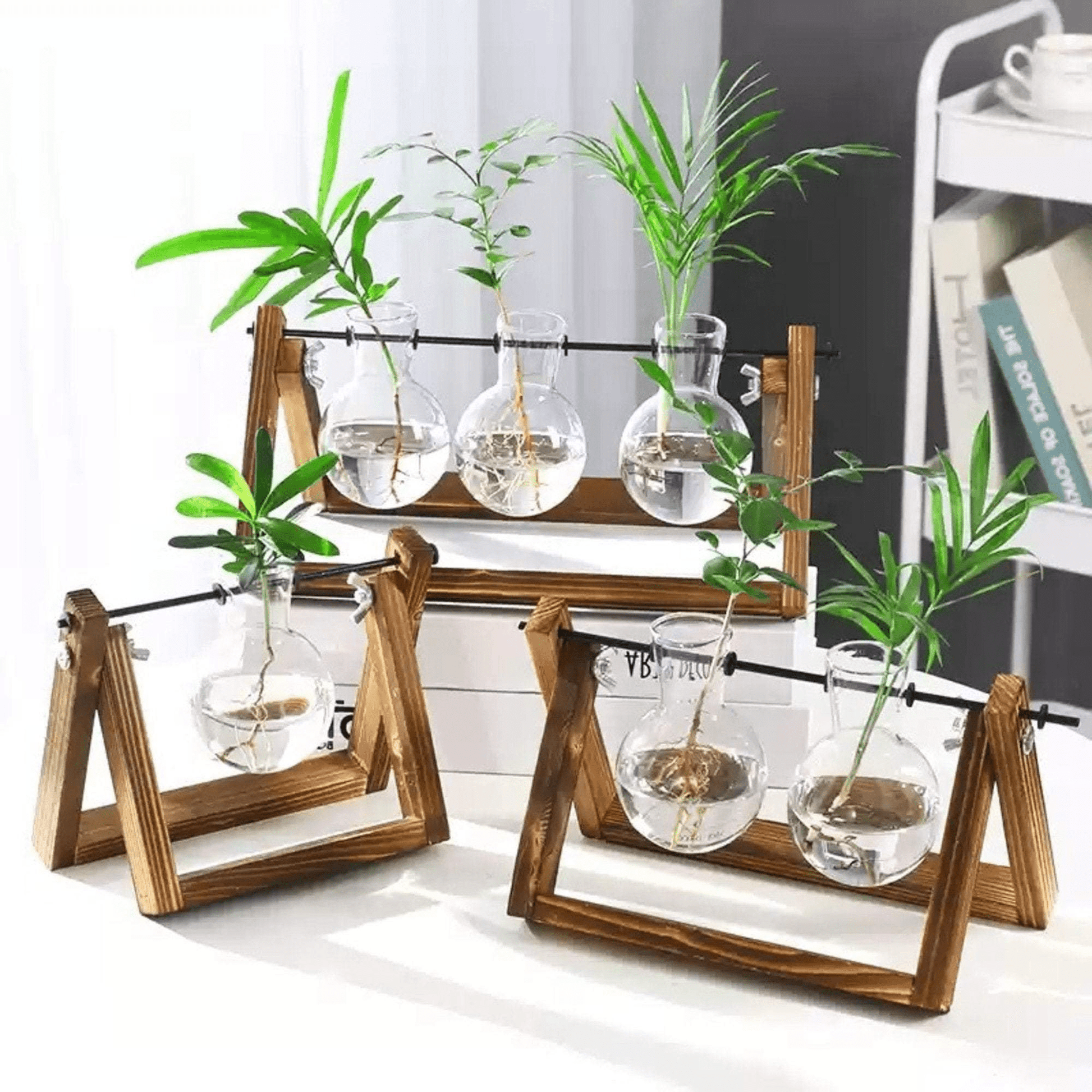 Vaso monofiore in vetro supporto in legno per piante - Dolci pensieri gift