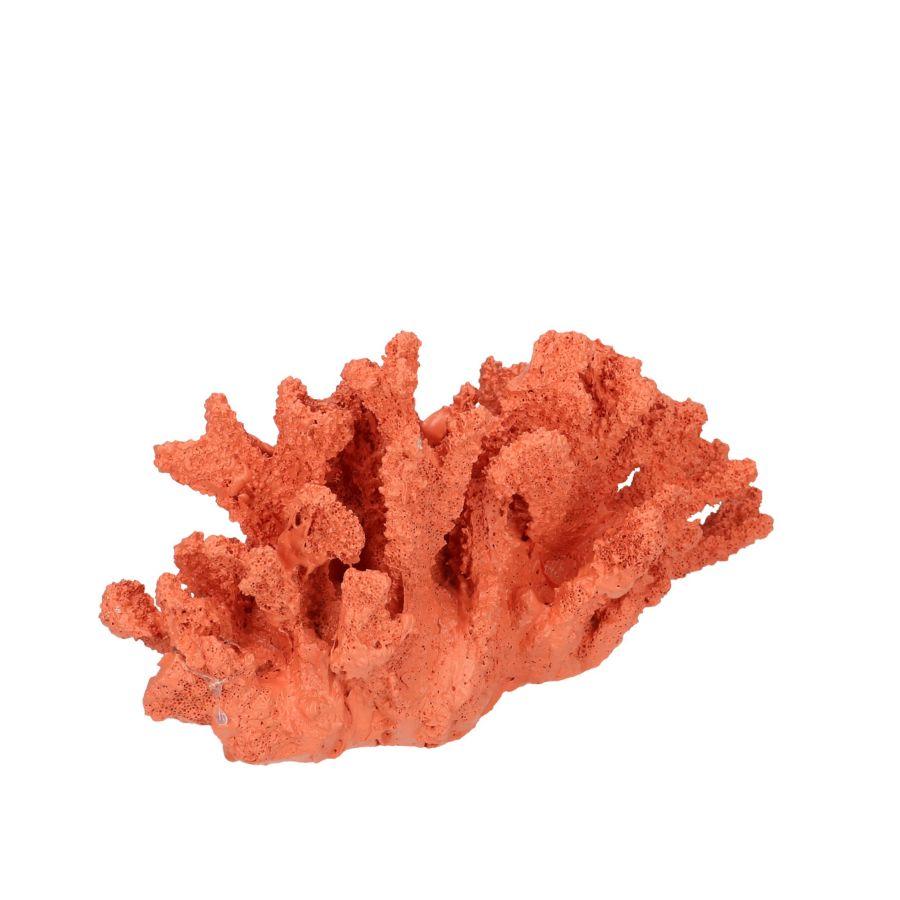 Capri corallo decorativo rosso centrotavola arredamento casa 24 cm - Dolci pensieri gift