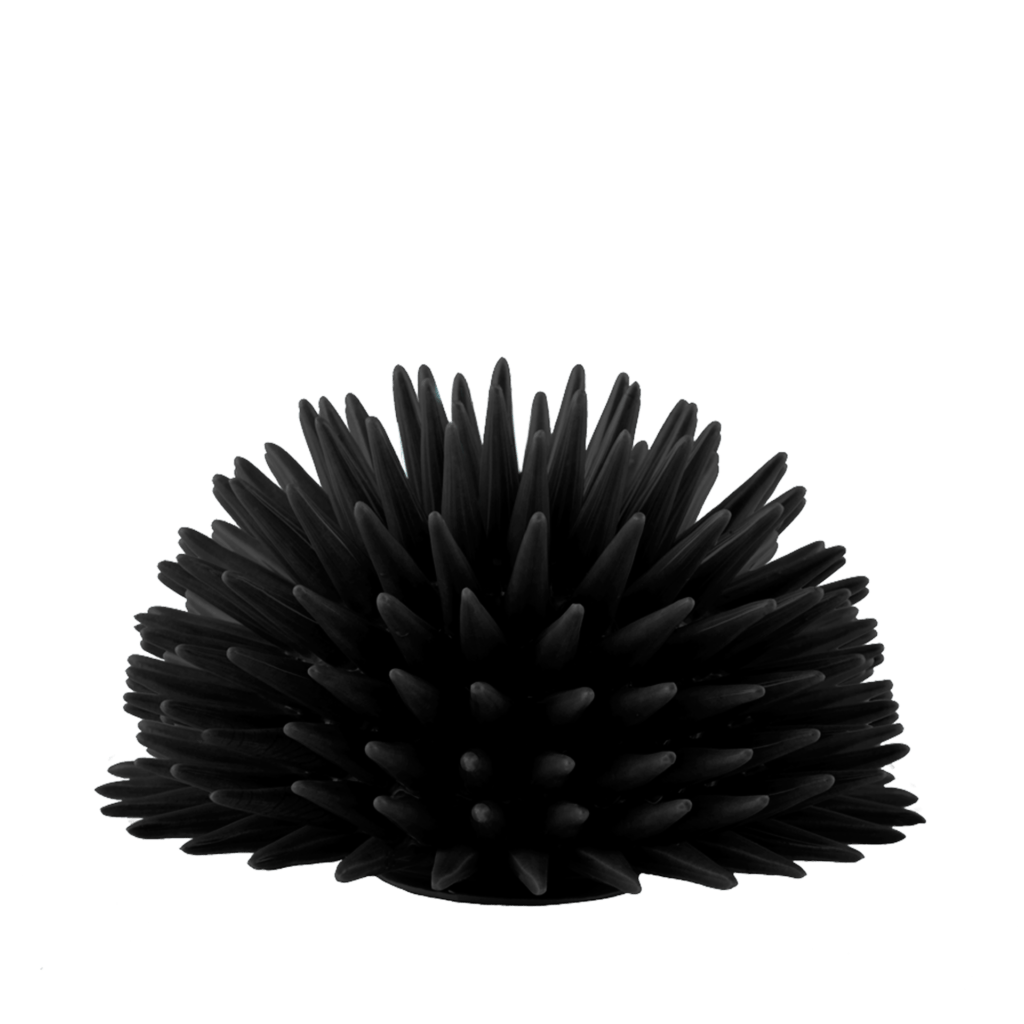 Riccio caprese in ceramica di capodimonte 18 cm decorazione casa colore nero - Dolci pensieri gift